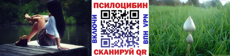 Псилоцибиновые грибы GOLDEN TEACHER Канаш